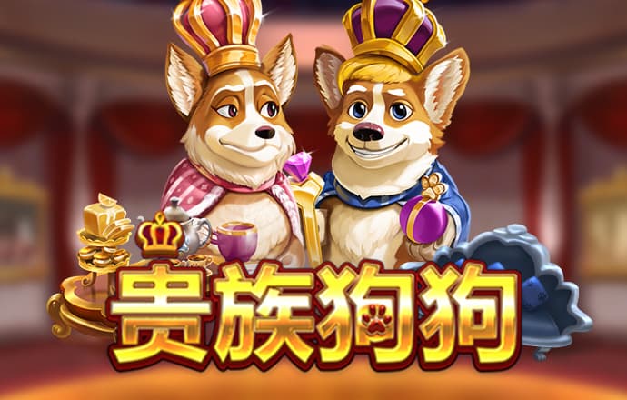 b体育app